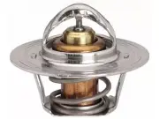 For 1956-1962 MG MGA Thermostat Gates 46522SSMS 1957 1958 1959 1960 1961 (for: MG)