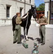 Royalty - Household Cavalry Division - Wellington Barracks, 1966 OLD PHOTO 5