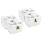 40pc Lemon & Lime Reusable Takeaway Food Storage Container Box Rectangular 750ml