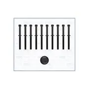 Austral Cylinder Head Bolt Set - 81052900