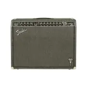 Fender Artist George Benson Twin Reverb Guitar Combo Amplifier, 230V