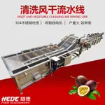 【商品價格為定金】青檸檬黃檸檬消毒清洗機 脫水檸檬片加工機器 檸檬片氣泡清洗機