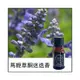 (馬鞭草酮)迷迭香純精油 10 ml / 瓶