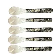 Acunny Caviar Spoons with Round Handles, Caviar Spoons Shell Spoons 5 Pieces Caviar Spoon Set Mother of Pearl Spoon Decorative Caviar Spoons for Caviar Server Eggs Cream