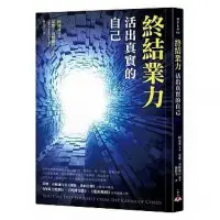 在飛比找Yahoo!奇摩拍賣優惠-終結業力：活出真實的自己 蒂娜‧司帕爾汀一中心