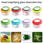 Tools Insect Observer Kit Bug Viewer Insect Catcher Cage Insect Box Magnifier