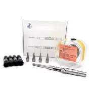 Dental Broken File Extractor Needles Removal Restoration Kit Root Canal Files