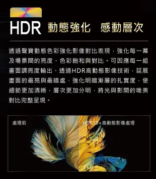 【SAMPO 聲寶】50型4K HDR智慧聯網顯示器+視訊盒 EM-50BA110