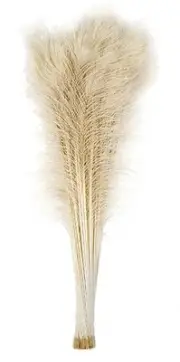 100 Pcs BLEACHED PEACOCK TAILS Feathers 35-40" (Crafts/Halloween/Bridal/Party)