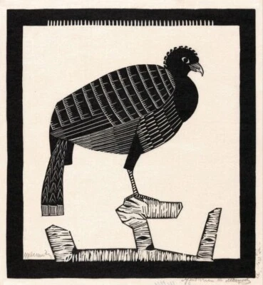 Pauwies by Samuel de Mesquita – Bold Woodcut Bird Print from 1926