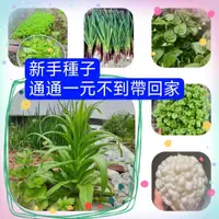 在飛比找蝦皮購物優惠-💥💥【新手種植種子】蔬菜種子 短期 快菜 葉菜 小白菜 空心