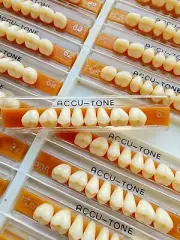 Acrylic Resin False Teeth Accutone Posterior Upper A2/62-PDS dentures box 160pcs