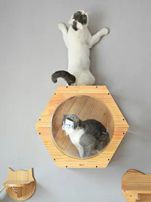 貓爬架墻壁掛式貓窩實木DIY跳臺跳板劍麻抓柱貓鉆洞豪華貓樹玩具
