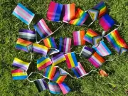 LGBTQIA+ Pride flag Bunting identity Rainbow Trans Bi Pan Lesbian 10m 30 flags