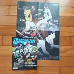 中華職棒 職業棒球雜誌433期附海報