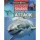 Predator Vs Prey: How Sharks and Other Fish Attack!