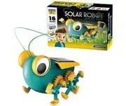 Explore & Find - Solar Robot Bug
