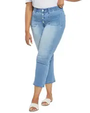NYDJ Plus Waistmatch Marilyn Straight Everly Jean