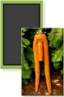 Full Frontal Anatomical Carrot Fridge Magnet 2 x 3 Rigid Funny Weird Food Veggie