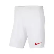 Trousers Training Men Nike Park Iii BV6855103 White