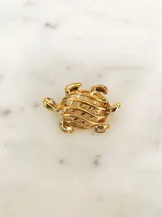 Turtle Brooch