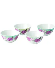Miranda Kerr for Royal Albert Everyday Friendship Bowls (Set of 4)