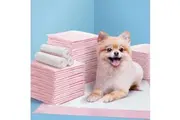 i.Pet Pet Training Pads 200pcs 60x60cm Puppy Dog Toilet Pee Indoor Super Absorbent Pink