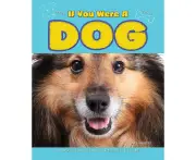 If You Were a Dog Clare Hibbert Paperback Book