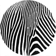 Slipmat Slip Mat Scratch Pad Felt for Any 12" LP DJ Vinyl Turntable Record Player Custom Graphical - Zebra 2