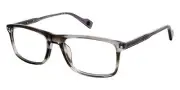Ben Sherman NEWGATE Eyeglasses Men Dark Gray Rectangle 53mm New 100% Authentic