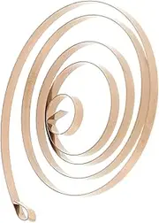 Yardwe Stainless Steel Wind Up Spring Replacement for Mini Robots Clockwork Animal Models Precision Engineered Easy Installation Reliable Coil Spring for Efficient Repairs