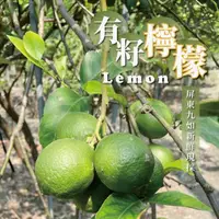 在飛比找momo購物網優惠-【無毒檸檬】屏東A級檸檬 有籽檸檬 10斤箱裝(產地直銷 現