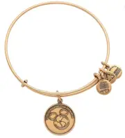 Alex and Ani Disney Vacation Club Member Charm Bangle