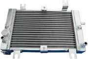 Aluminum Radiator,Compatible With Bombardier Can-Am CAN AM DS250 DS 250 2006-2012