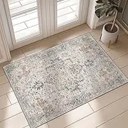 HAOLEYAO 60x90cm Area Rugs for Living Room, Machine Washable Non Slip Vintage Rugs, Low Pile Lightweight Chenille Print Rug for Bedroom, Dining Room, Home Office (Taupe)
