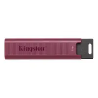 在飛比找PChome24h購物優惠-Kingston 1TB 1T【DTMAXA/1TB】TYP