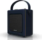 20W Portable Speaker Karaoke Machine with Bluetooth/Usb/Aux, Microphone Jack wit