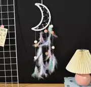 Moon Bubble Dream catchers Room Wall Hangings Decor with Light Colorful Feather