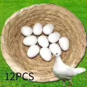12x Solid Plastic Pigeon Eggs Homing Pigeon White Incubation Dove False Eggs