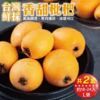 在飛比找momo購物網優惠-【WANG 蔬果】台灣鮮採香甜枇杷L號(2盒_18-24入/