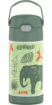 THERMOS FUNTAINER 12 Ounce Stainless Steel Vacuum Insulated Kids Straw Bottle,