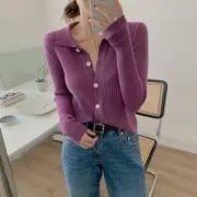 Collar Plain Ribbed Knit Top Purple - L