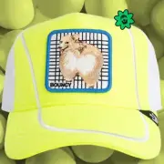 Goorin Animal Trucker Baseball Snapback Hat Cap Bouncy Bounce Corgi Dog Citron