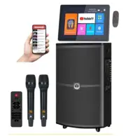 Singtronic Professional DSP Karaoke Speaker System w/ Mics + KTV USB Player