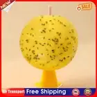 Fruit Fly Traps Useful Sticky Traps Multifunction for Fruit Fly Hoverfly Gnat AU