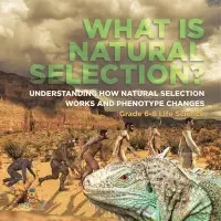 在飛比找博客來優惠-What is Natural Selection? Und