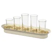 VATTENKRASSE propagation set, clear glass ivory/gold-colour