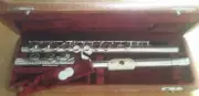 NEW Philipp Hammig 666/1 Coin Silver Flute Ebonite Reform Head Offset G/A Trill