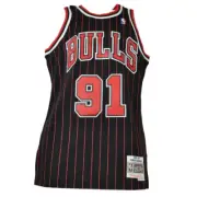 NBA Chicago Bulls #91 Dennis Rodman HWC Swingman Jersey Mitchell Ness Striped