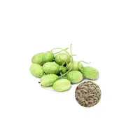 Cucumber West Indian Gherkin - Seed Packet - Organic Seeds - Spring - Summer